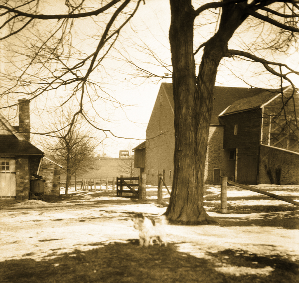 Old Barn 1924